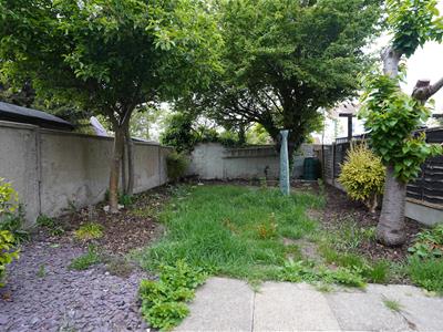 Picture 5